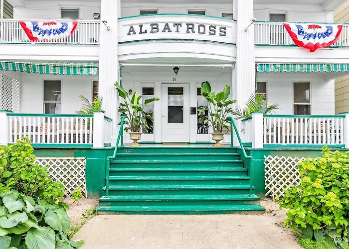 Albatross